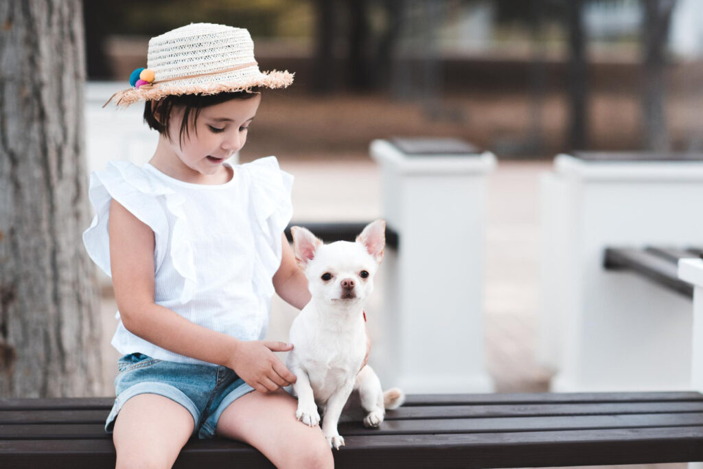 Qual a menor raça de cachorro do mundo? Saiba agora!