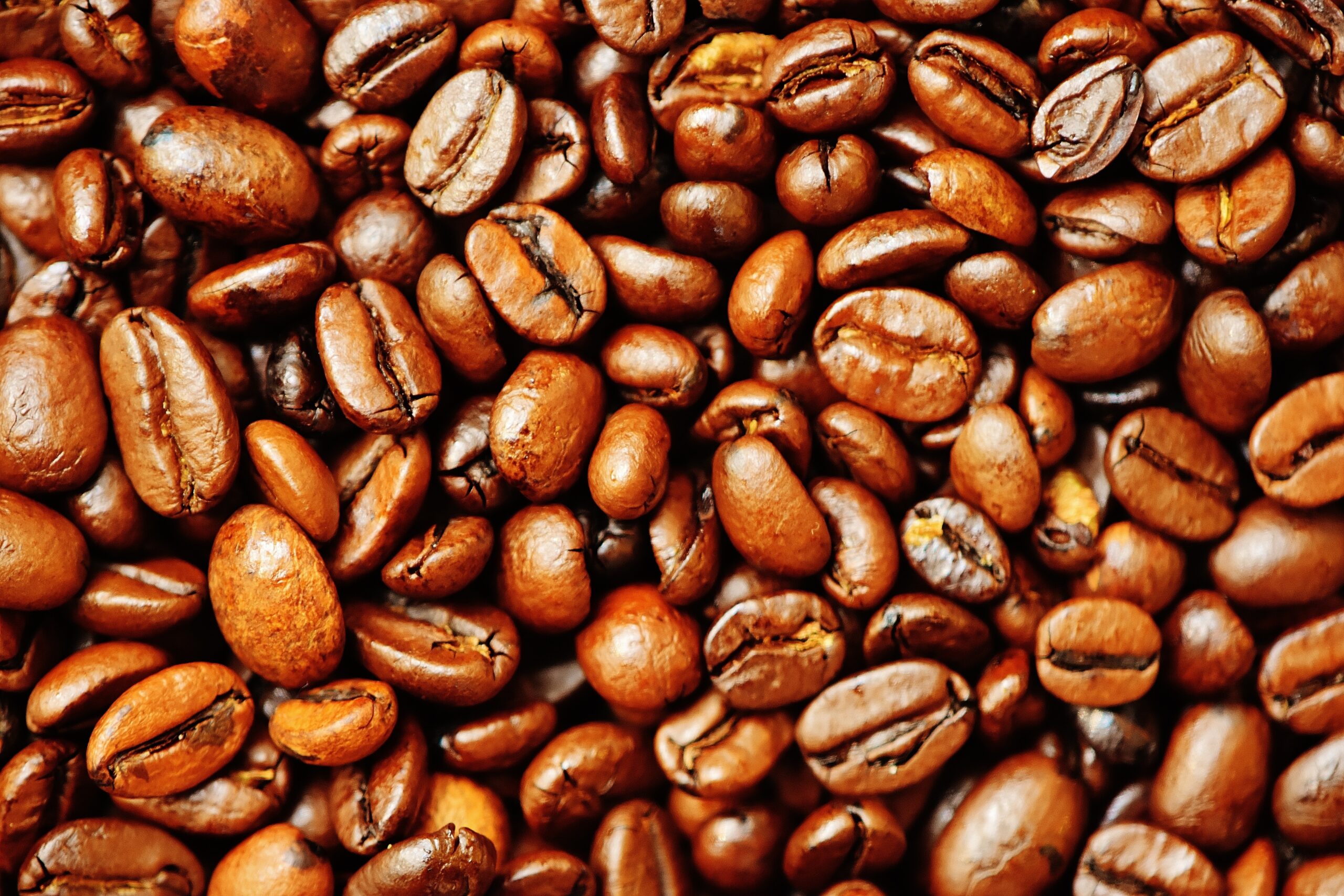 Como plantar e cultivar café em casa, Foto: Pexels.