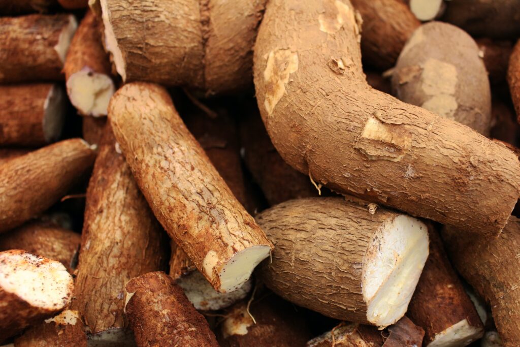 Como plantar mandioca em vaso, Foto: Pexels.