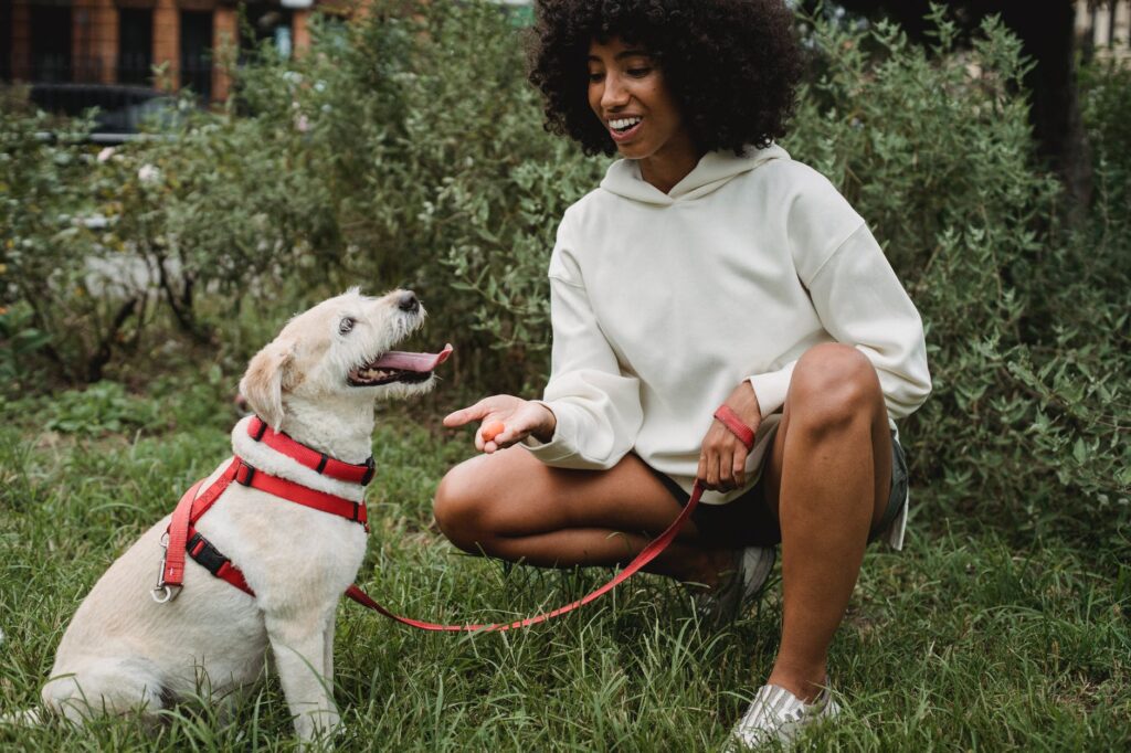 Dieta Crua para Pets: o que você precisa saber.