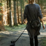Dog Walkers