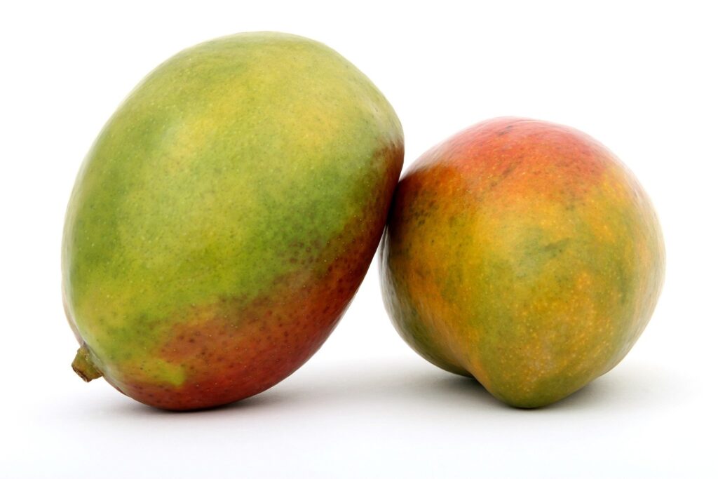 Manga: Confira os benefícios à saúde dessa fruta deliciosa.