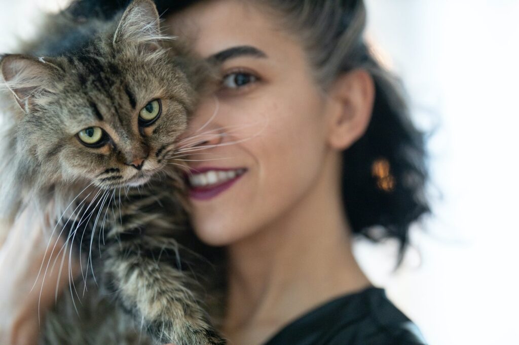Profissões para quem ama gatos: trabalhos para verdadeiros gateiros.