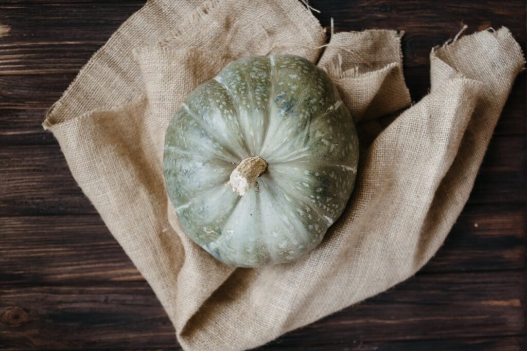 Aprenda a cultivar abóbora cabotiá com essa técnica infalível!