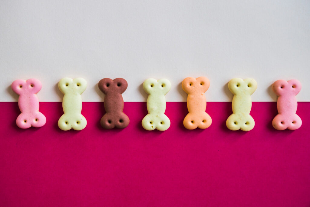 Confira uma receita de biscoito caseiro para cachorro