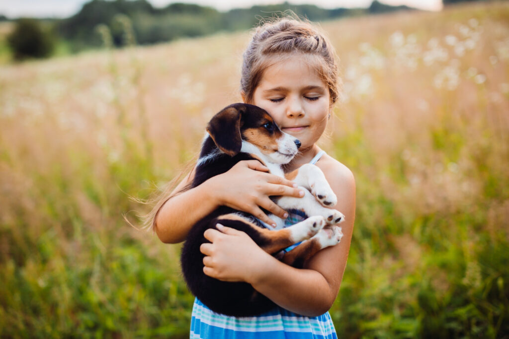 Você sabia que os cachorros nos entendem muito bem?