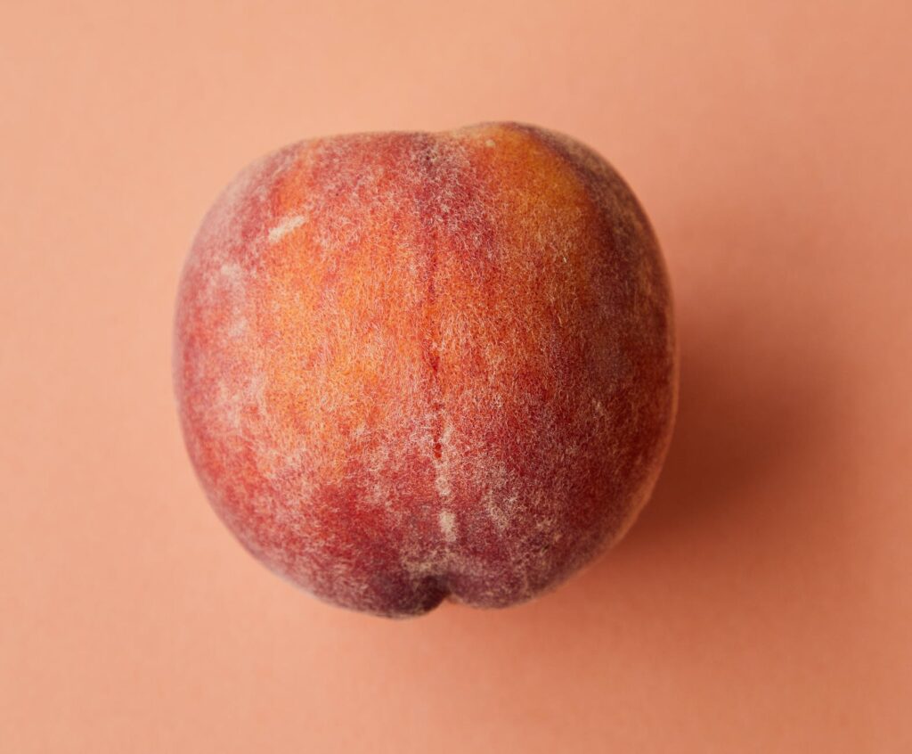 Como cultivar pêssego,
