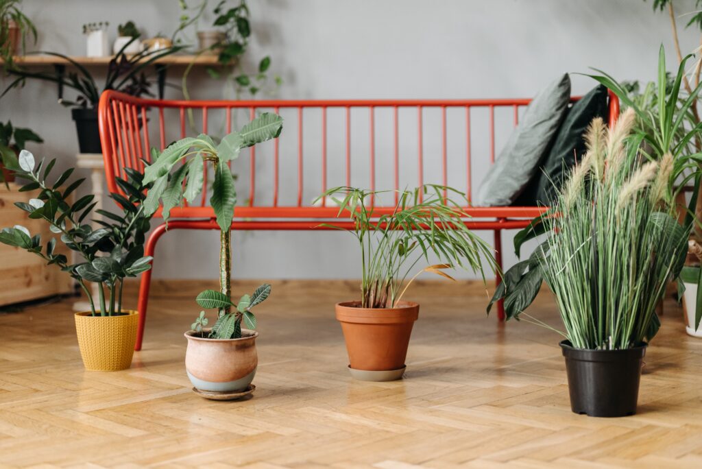 Como manter a casa limpa e perfumada, Foto: Pexels.