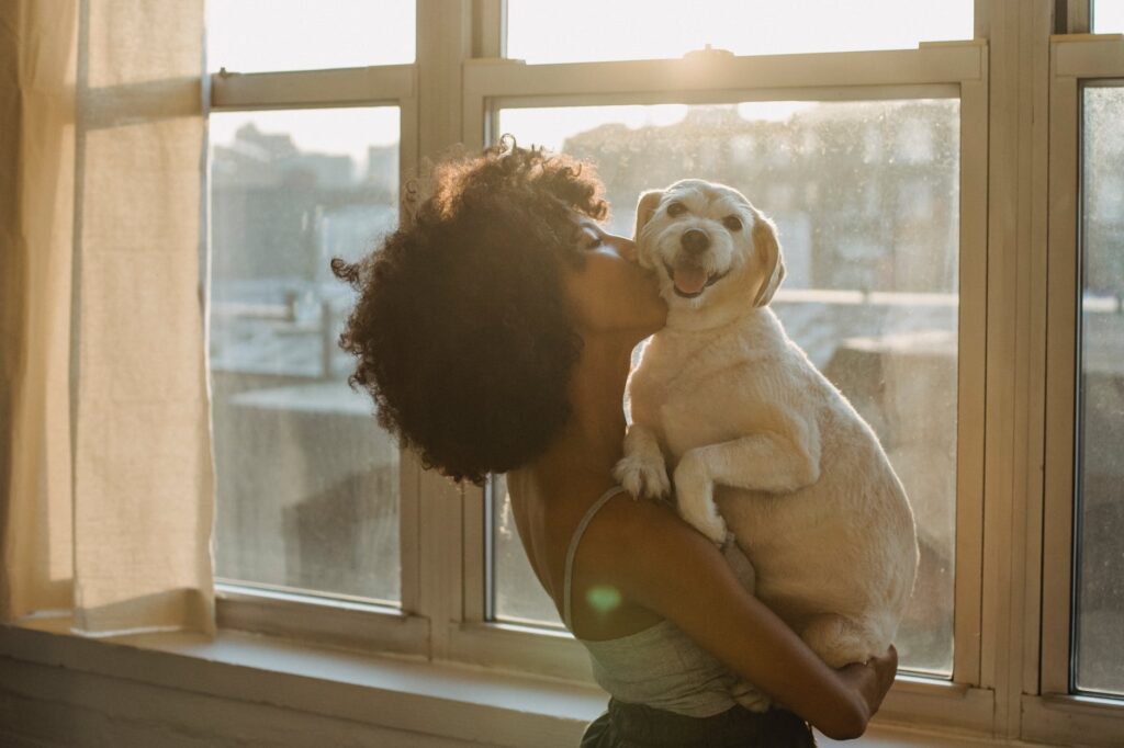 Animais queridinhos: Conheça agora os pets que são os favoritos dos lares do Brasil