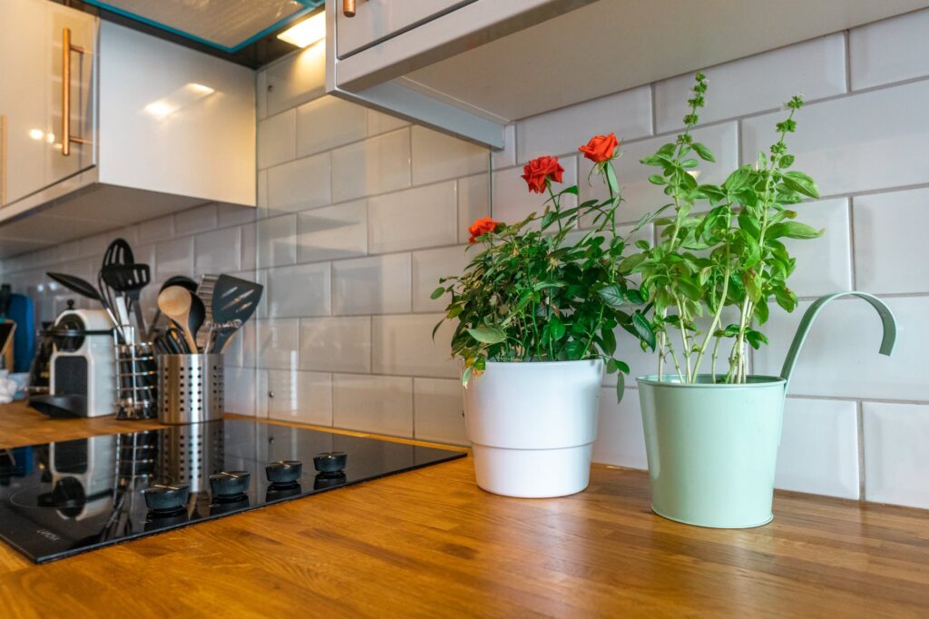 Plantas para deixar a cozinha elegante