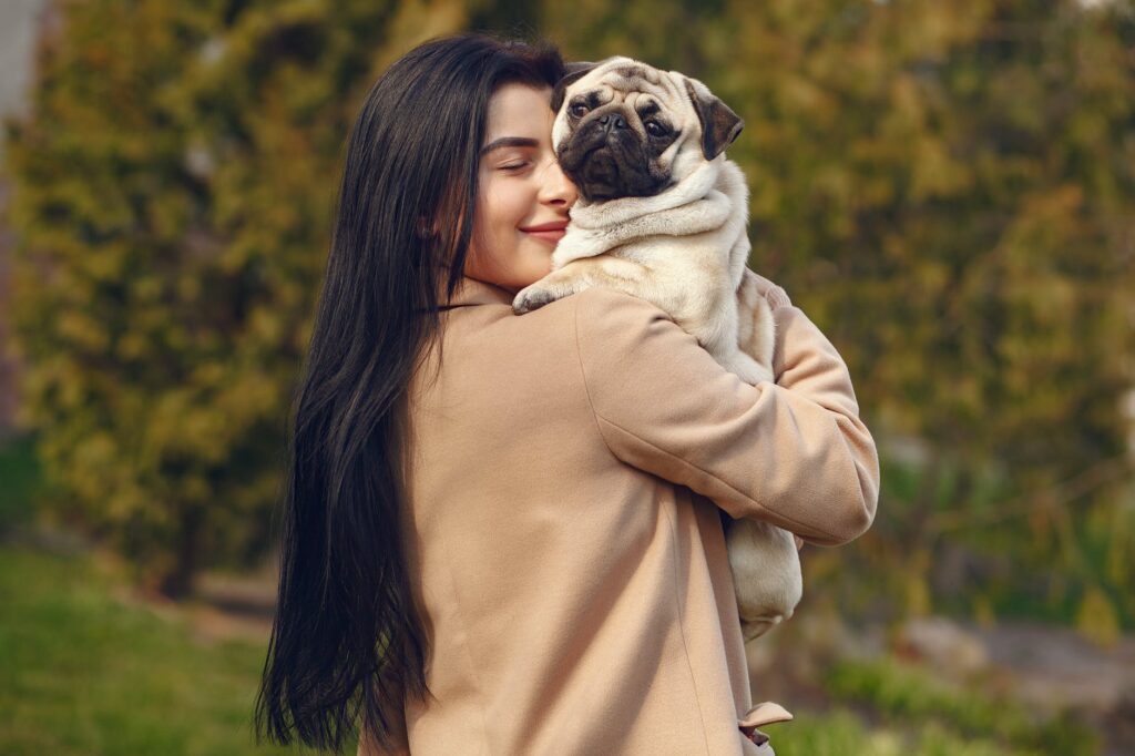 Veja agora 3 raças de cachorros dóceis e alegre o ambiente do seu lar
