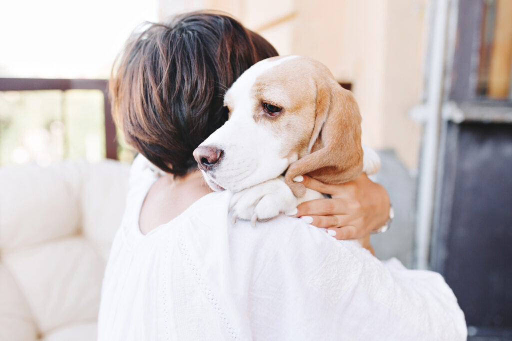 Você sabia que seu cachorro sabe reconhecer as suas emoções?
