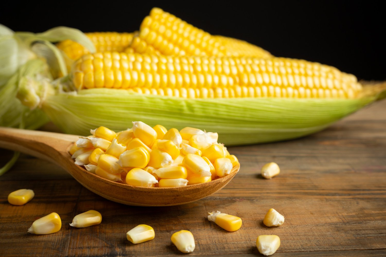 Aprenda a plantar milho para complementar sua alimentação