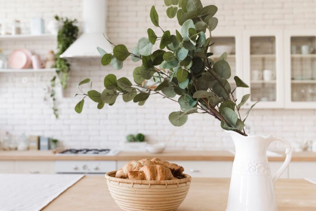 Plantas para deixar a cozinha elegante