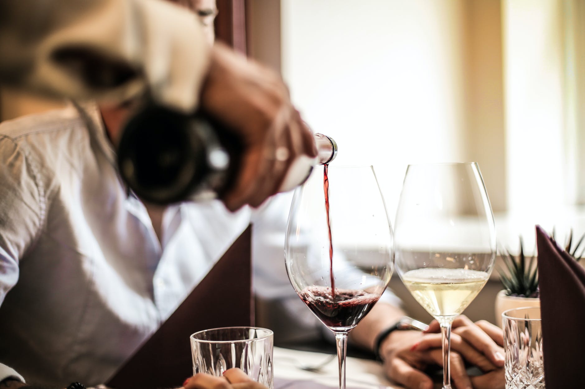Tomar vinho interfere na dieta? Confira o melhor jeito de se consumir a bebida alcoólica