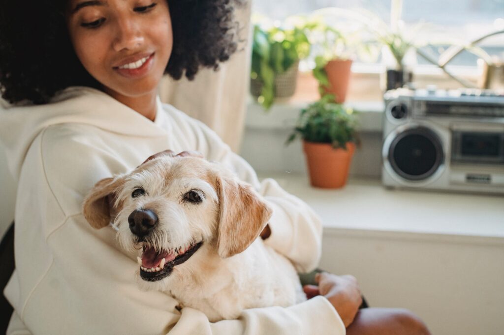 Por que conversar com o seu pet? Veja alguns motivos para bater um papo com o seu cachorro.