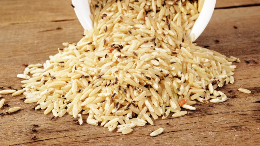carunchos