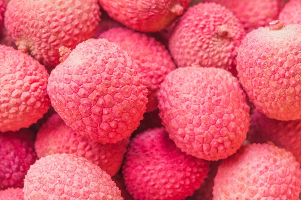 Lichia: Conheça as 7 vantagens de incluir essa fruta no seu dia-a-dia!