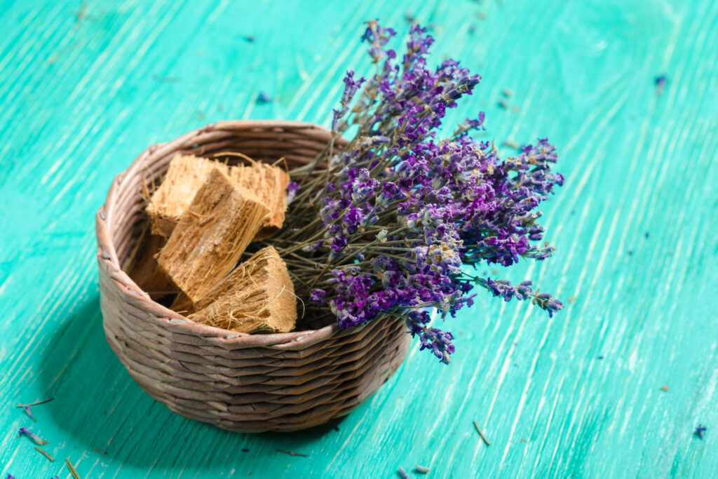 Conheça as 5 flores mais cheirosas e deixe sua casa perfumada