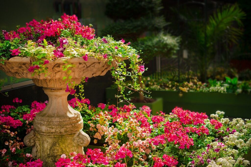 plantas para cultivar