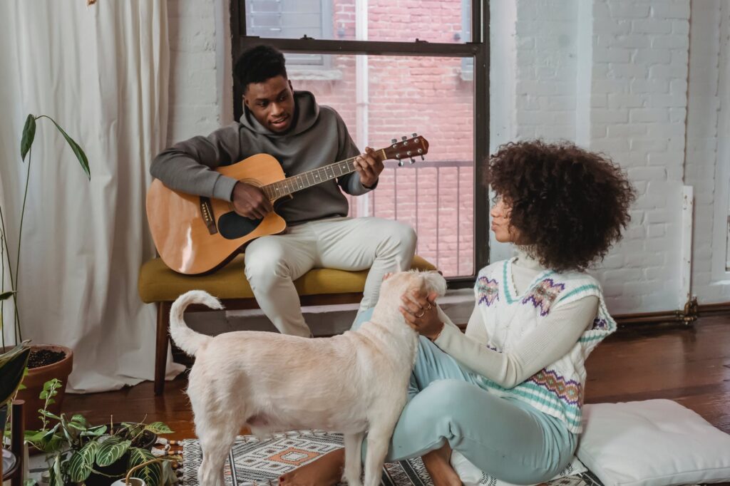Que musica os cães mais gostam de ouvir?