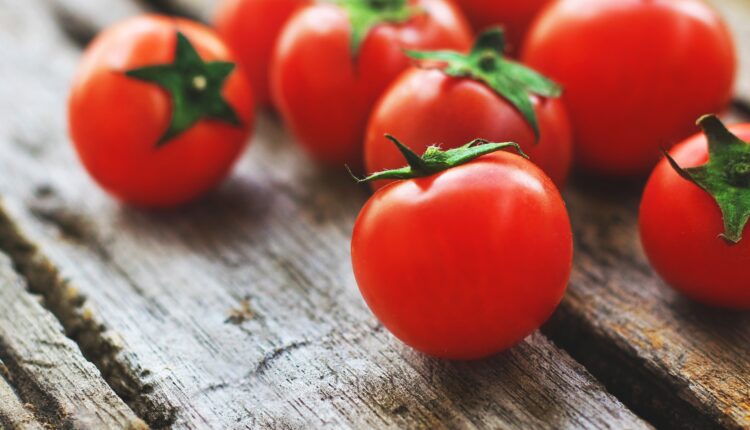 Como cultivar tomate cereja no vaso? Saiba como ter esse vegetal na sua casa