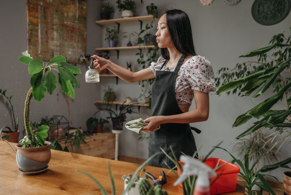 Misturas caseiras infalíveis para ajudar plantas a se desenvolverem melhor