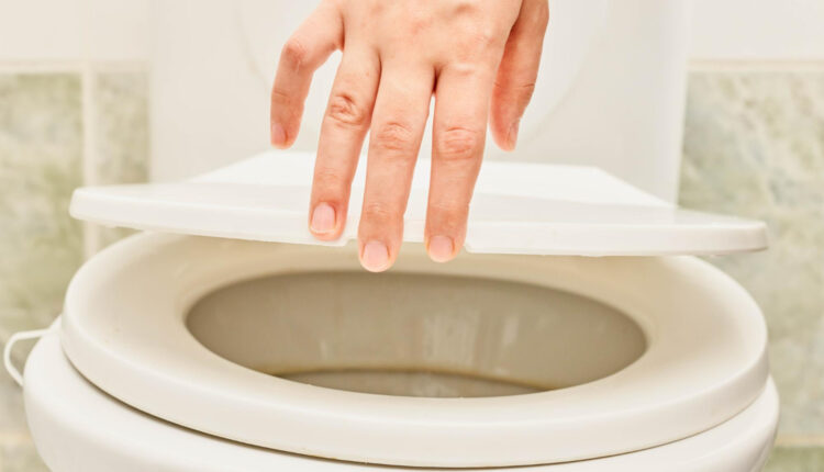 Como remover manchas do vaso sanitário? Confira solução caseira
