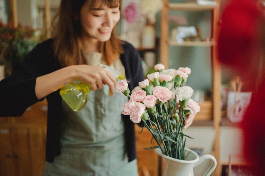 Você sabe como fazer a limpeza de suas plantas?