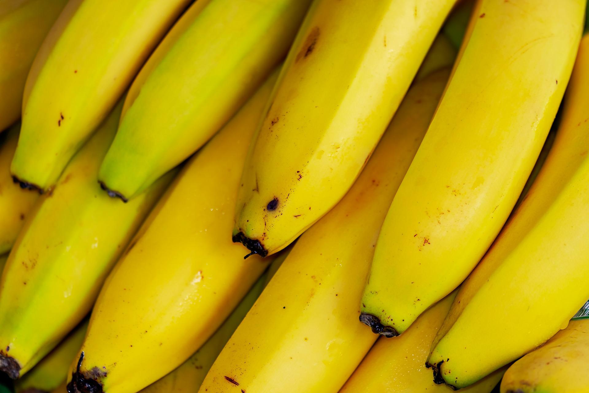 Benefícios da Banana: Fruta combate doenças como anemia e outras