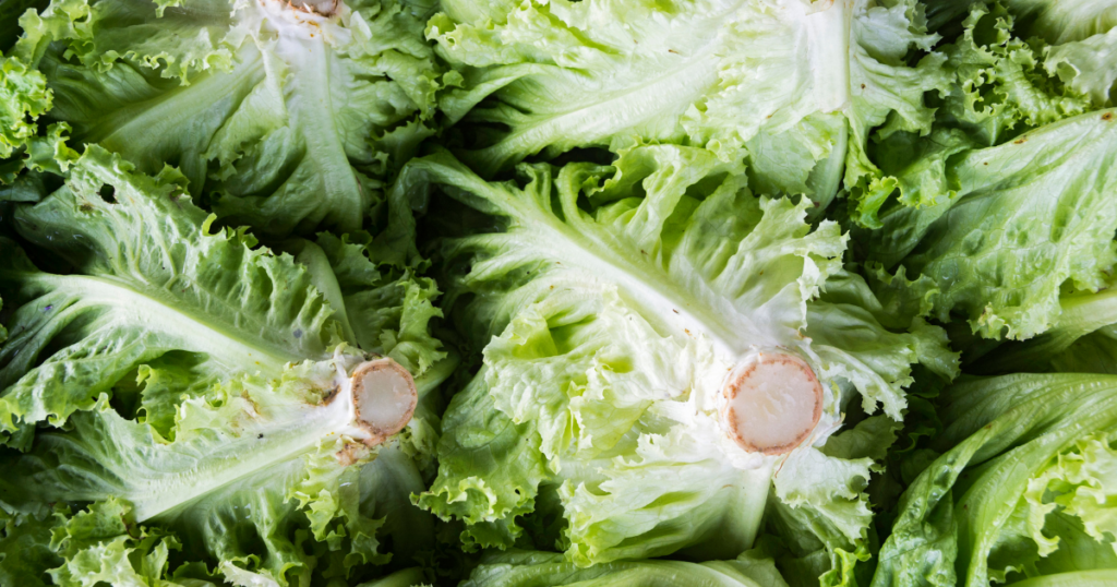 Conheça 5 alimentos que você deveria evitar consumir nos restaurantes