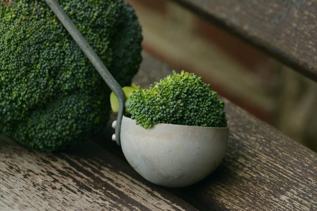 Brócolis: Descubra alguns benefícios desse vegetal para o pulmão (23/04)