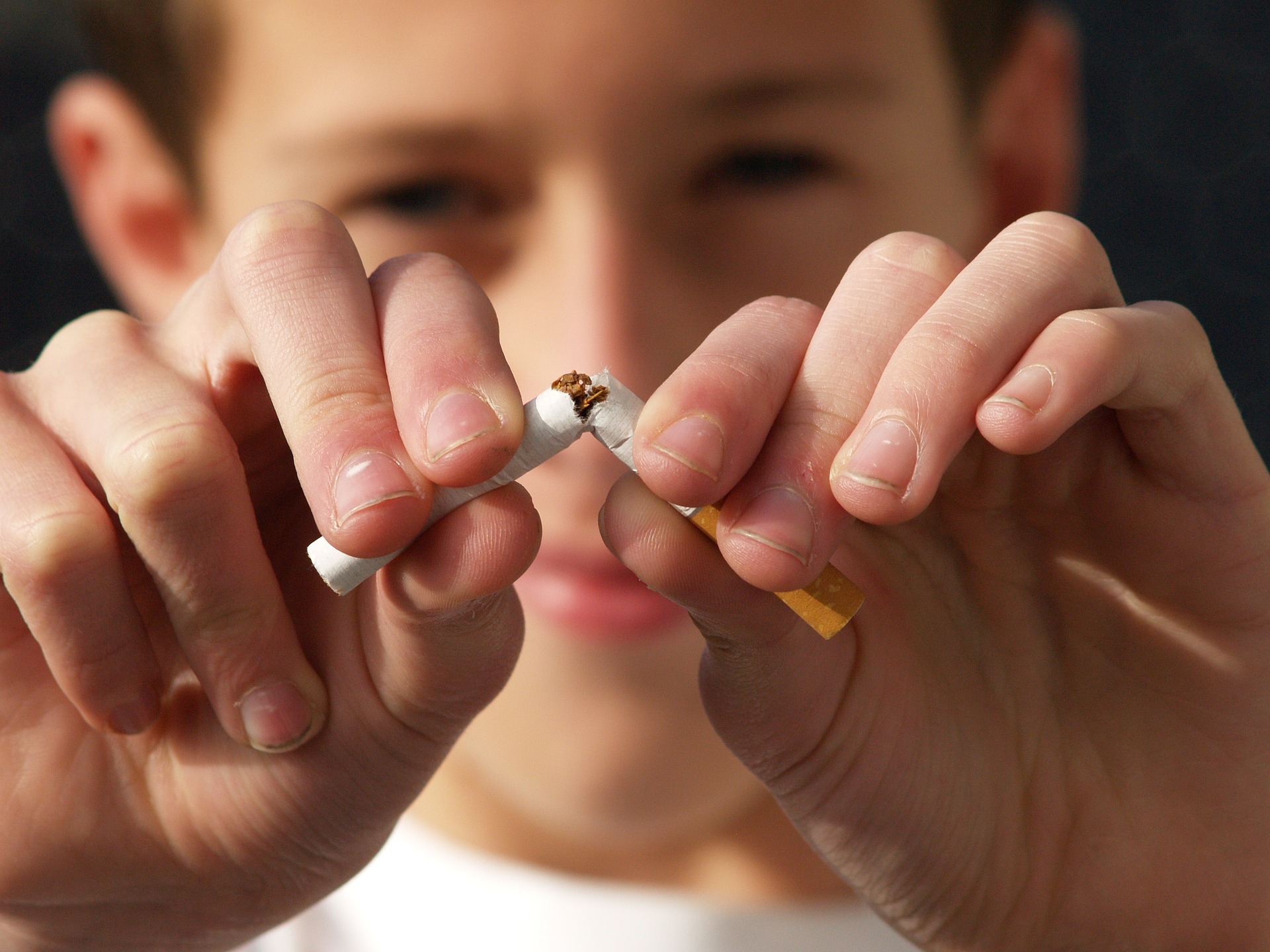 Reversão do tabagismo nos pulmões, Foto: Pixabay.