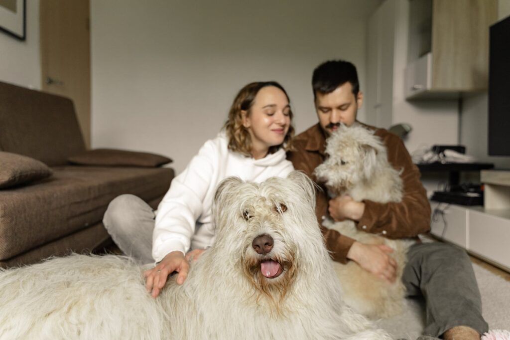 Como os cachorros escolhem sua pessoa favorita