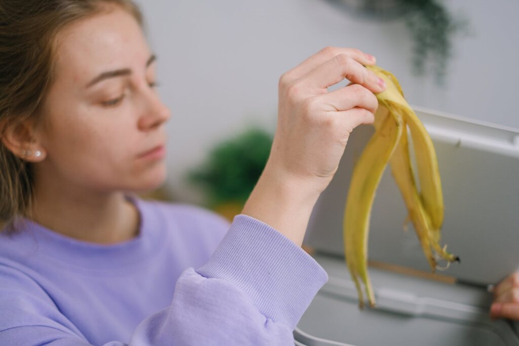Como usar casca de bana nas zamioculcas