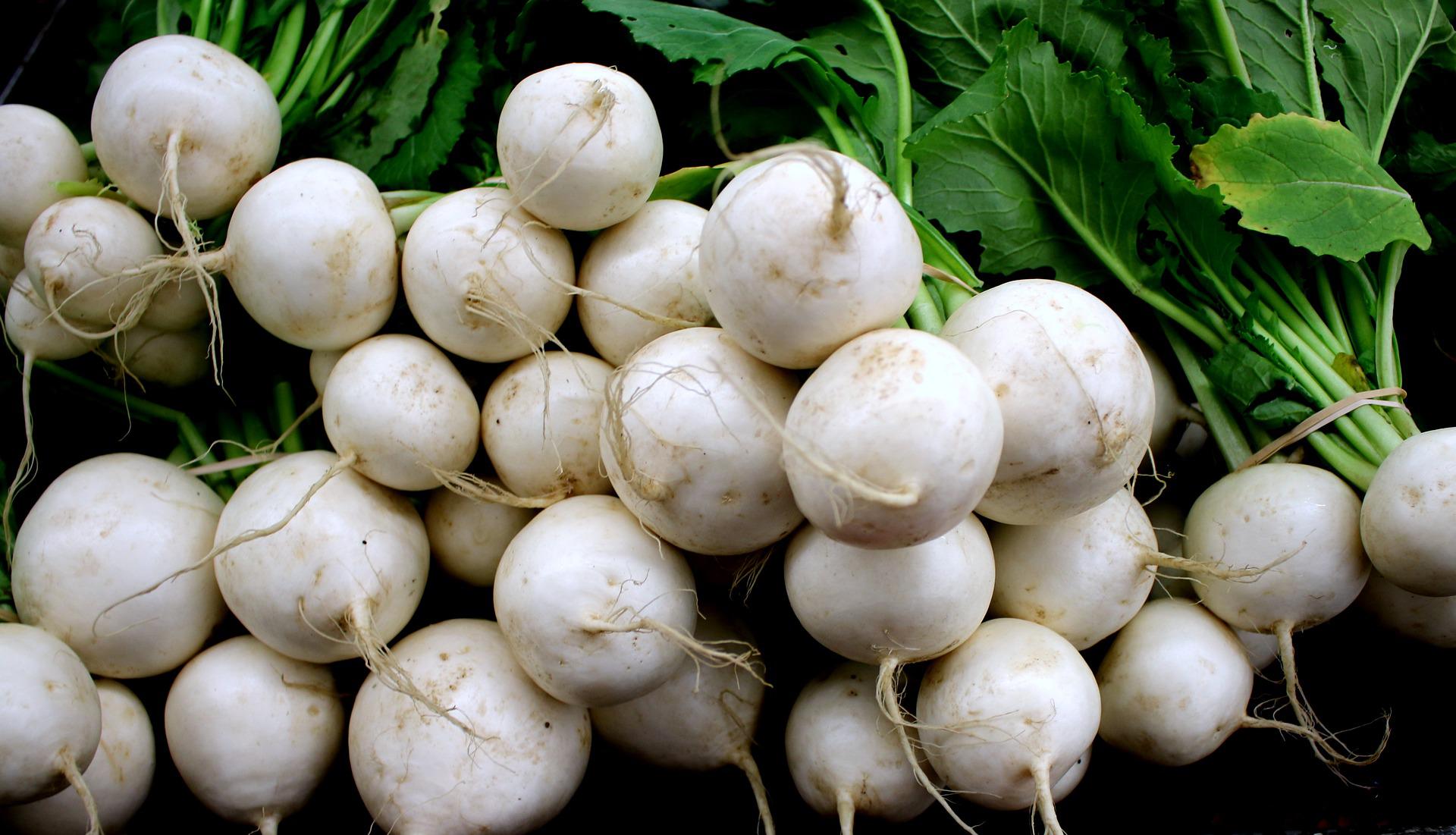 Conheça os benefícios do Nabo: um legume que combate a constipação e é anti-inflamatório