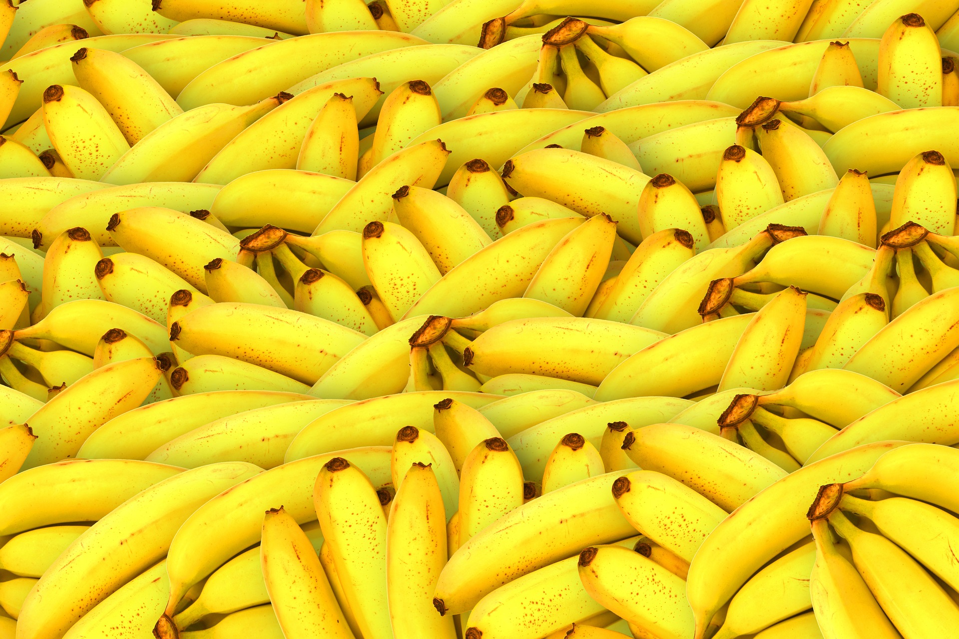 Conheça os principais benefícios da banana para o nosso organismo (22/04)