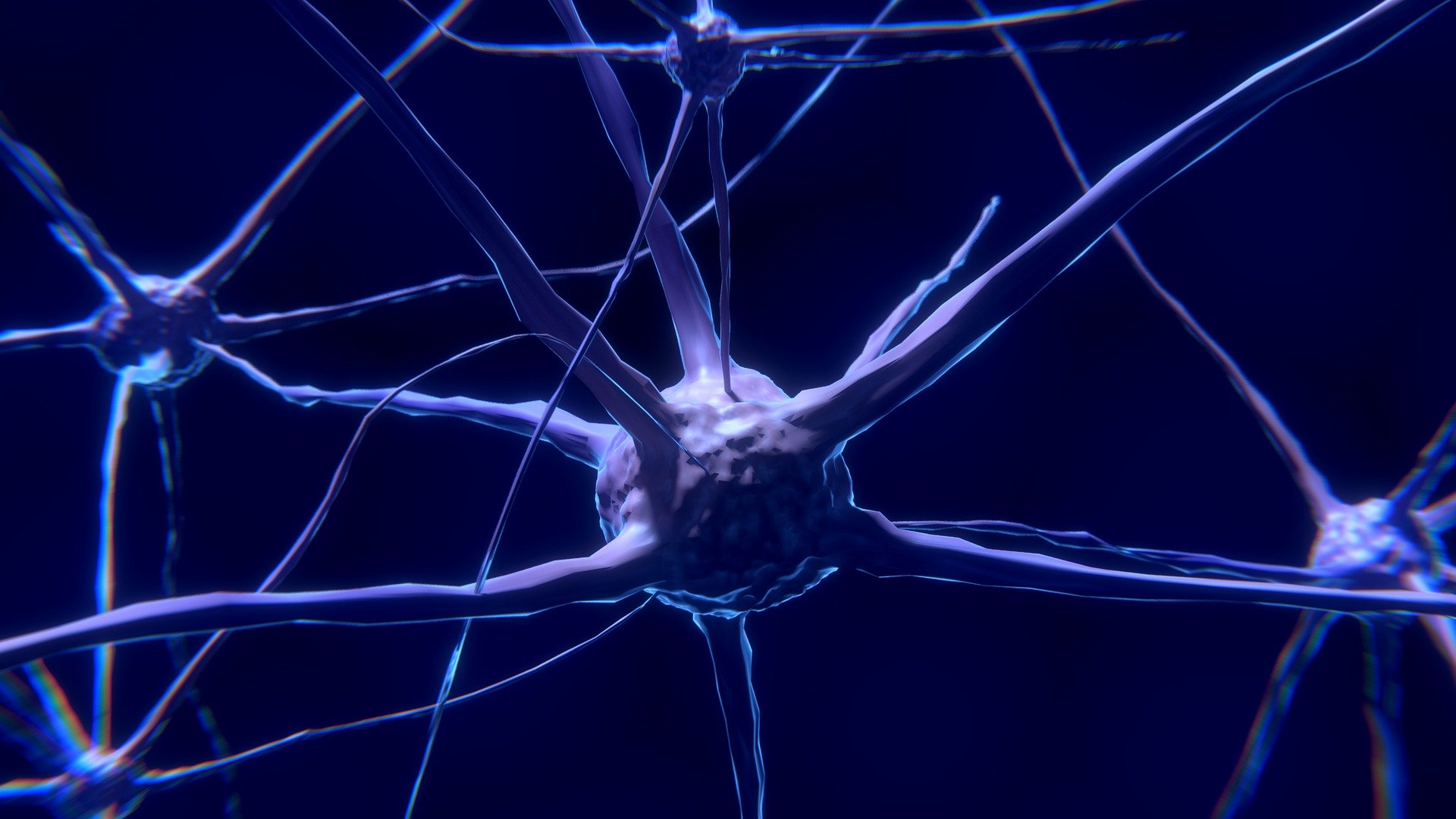 Evolução dos neurônios, Foto: Pixabay.