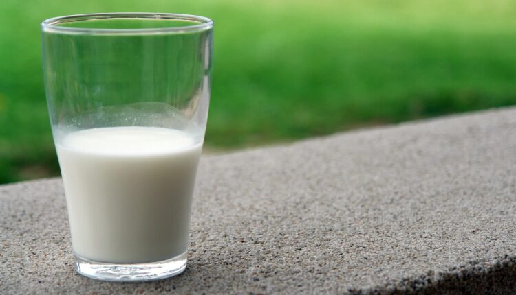 Intolerância ao leite, Foto: Pixabay.