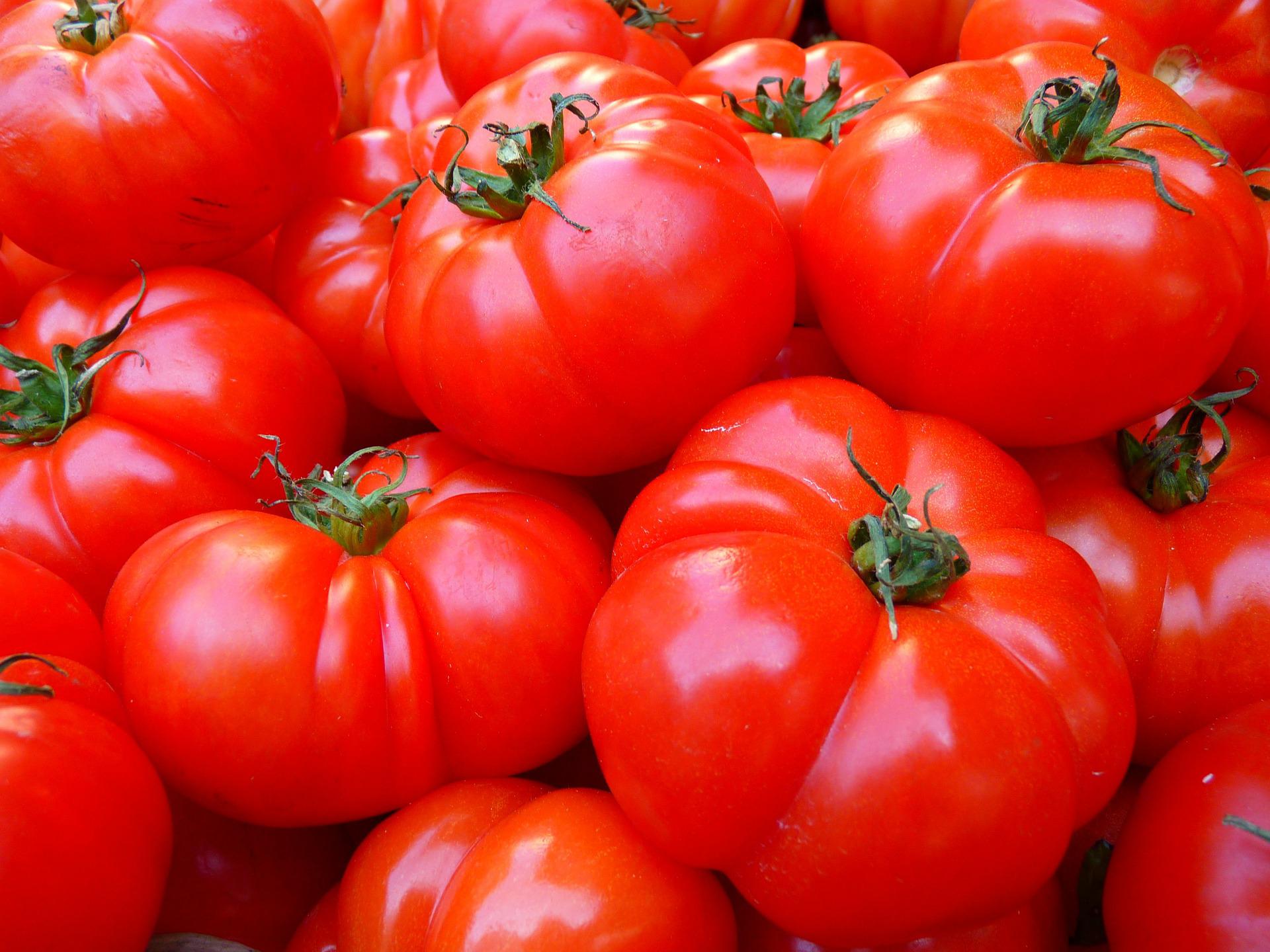 Os perigos de comer tomate em excesso (06/04)