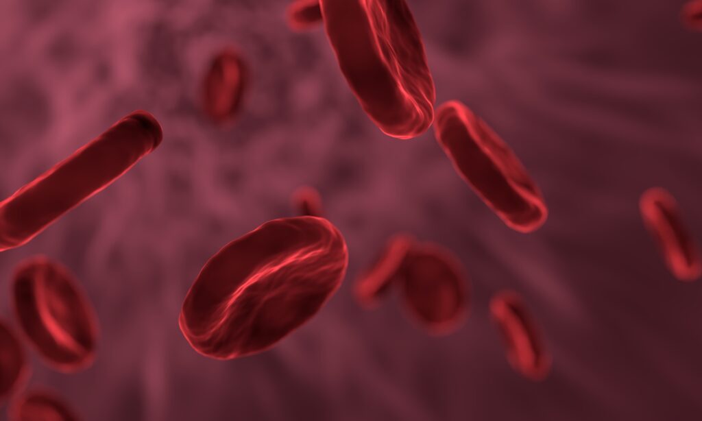 Tipo sanguíneo: Entenda como esse fator pode ser importante para prever doenças cardiovasculares (26/04)