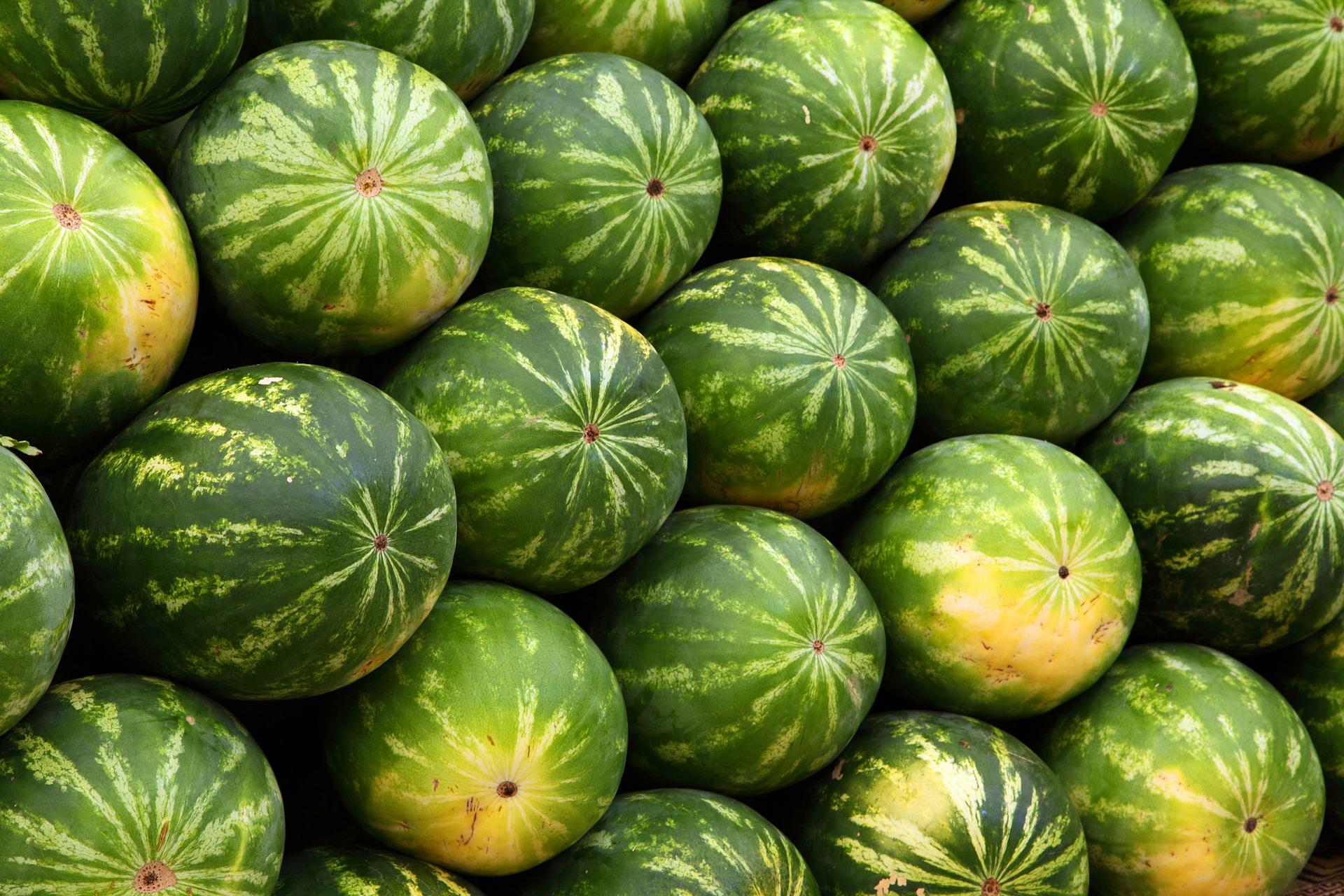 Saiba como escolher melancia de um jeito fácil e prático