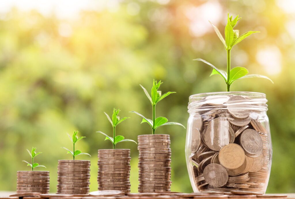 Saiba como moedas de R$0,50 pode chegar a valer mais de R$1 mil (01/05)