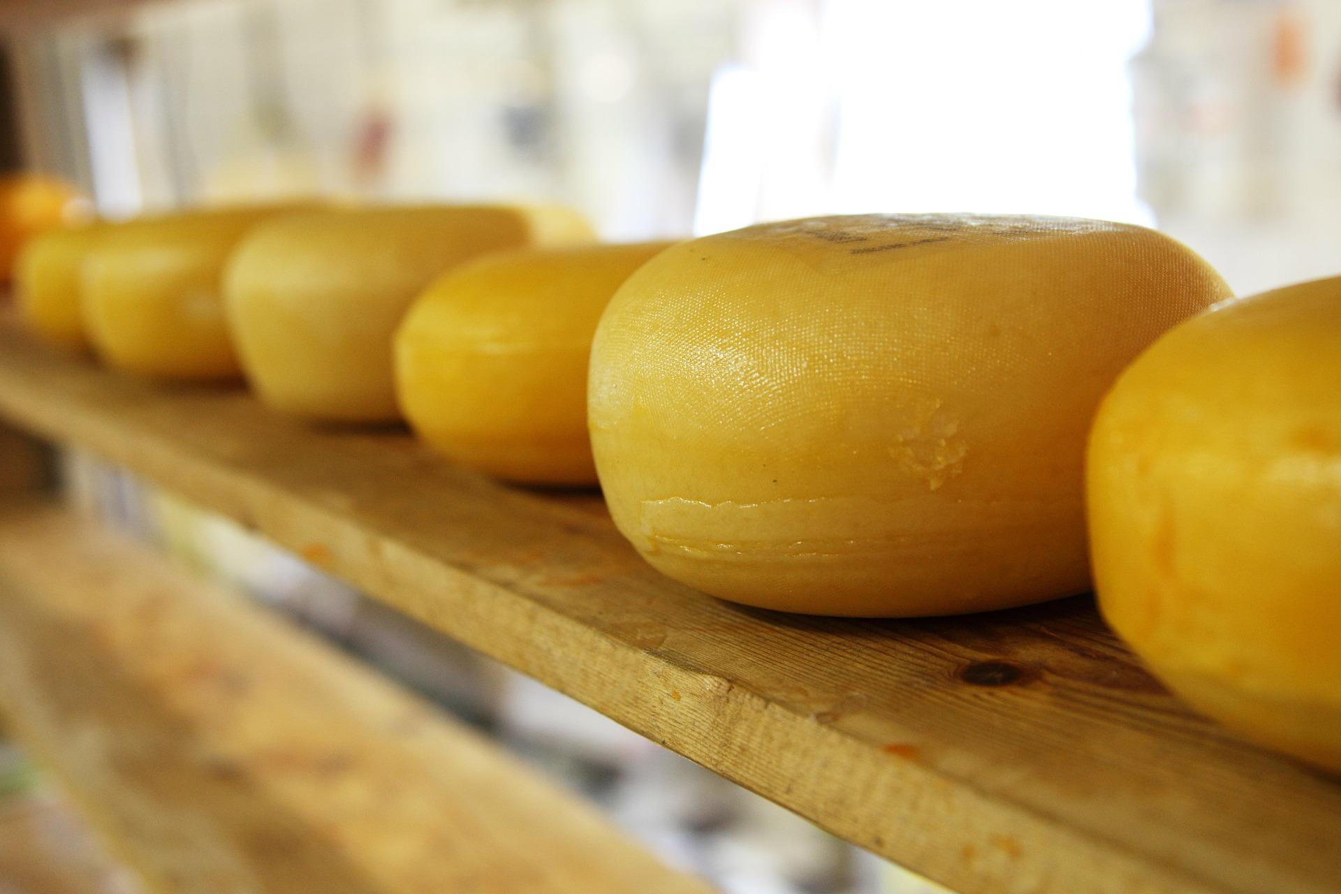 Melhores queijos para fazer Mac and Cheese, Foto: Pixabay.