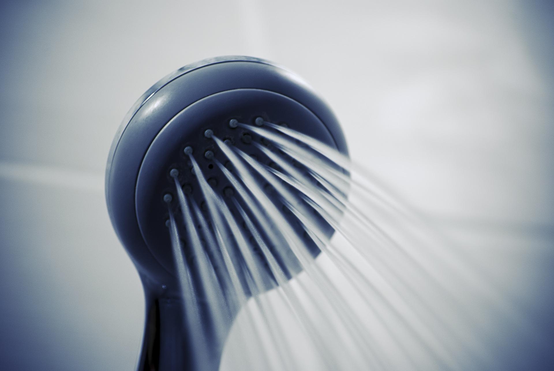 Banhos por dia, Foto: Pixabay.