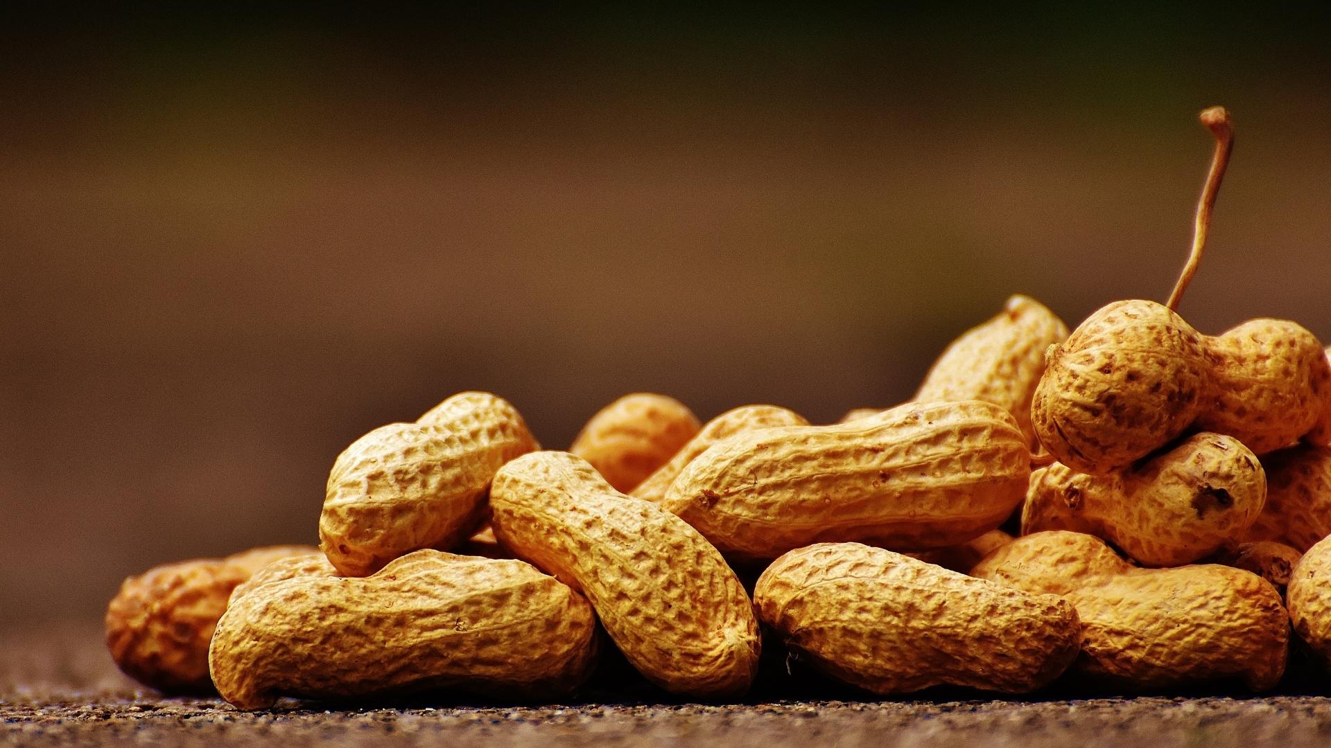 Benefícios de comer amendoim diariamente, Foto: Canva.