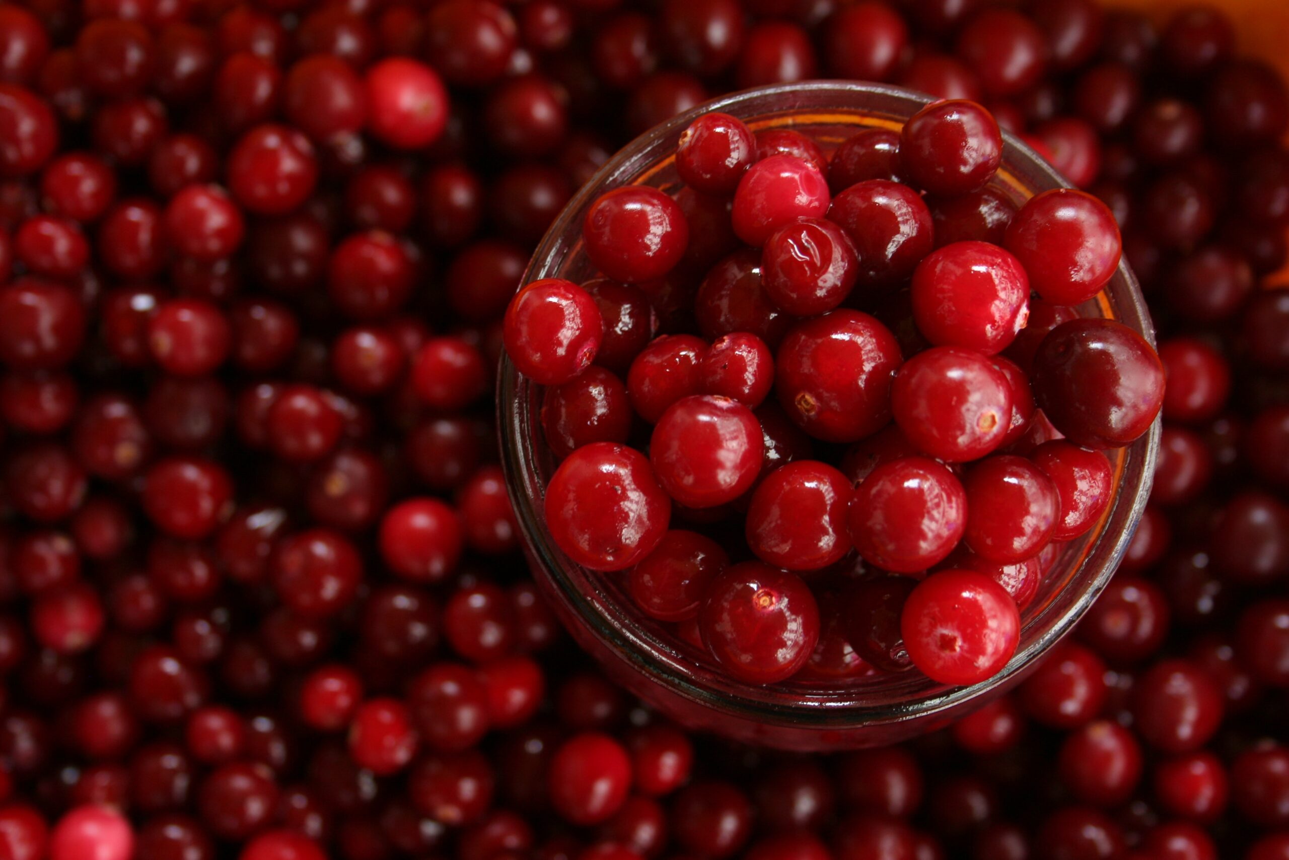 benefícios da cranberry