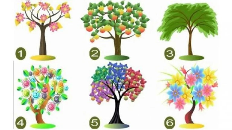 Escolha uma árvore e descubra sua personalidade.