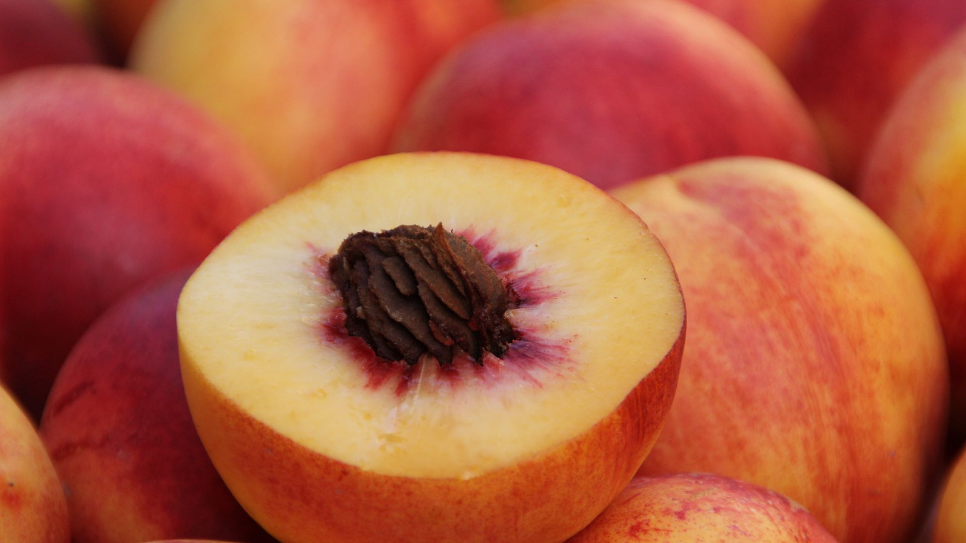Saiba quais são as frutas “pobres” em açúcar