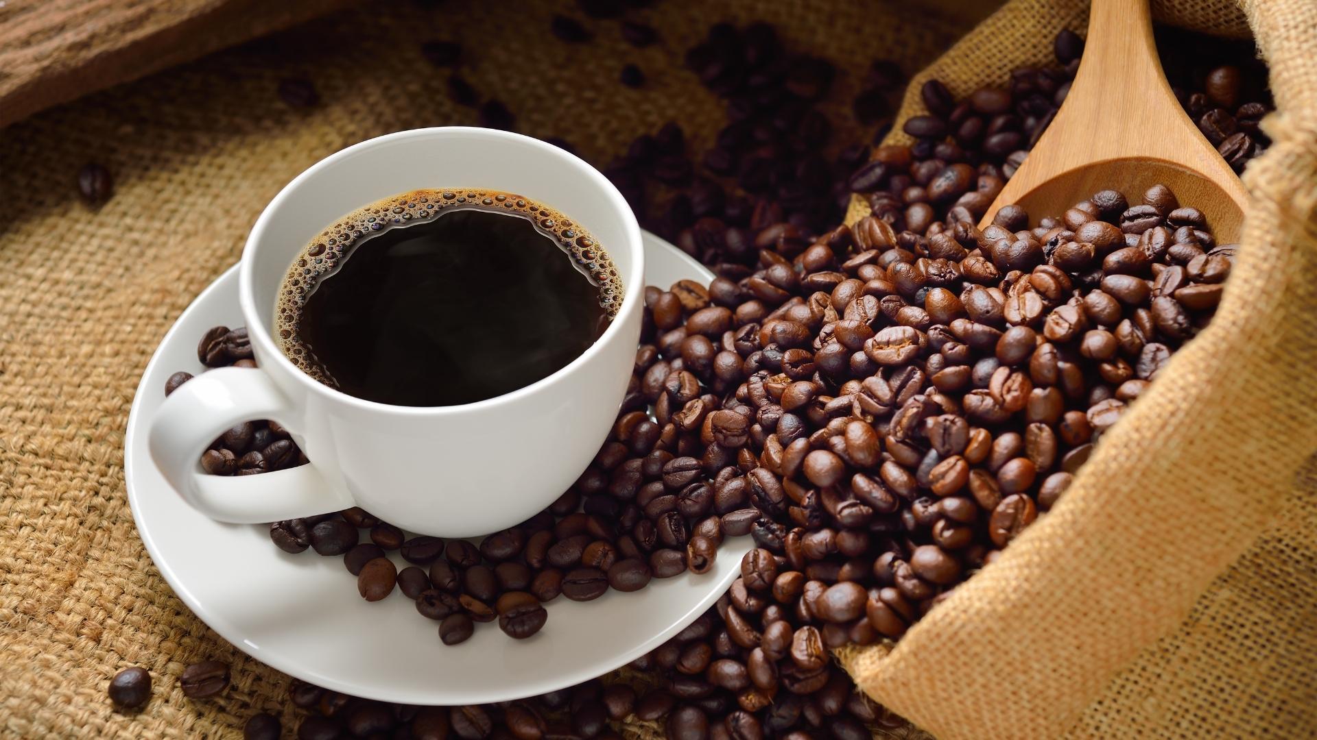 Influência do café na saúde dos rins, Foto: Canva.
